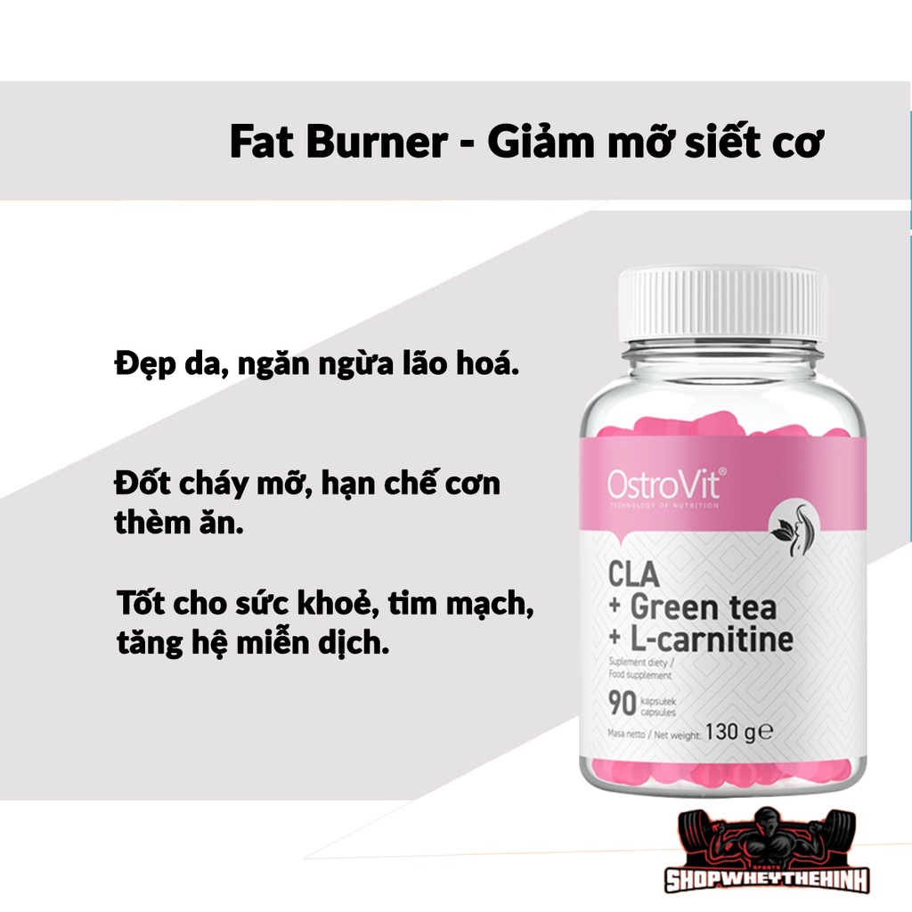 Viên Giảm Mỡ Tự Nhiên Ostrovit CLA + Green Tea + L-Carnitine 90 Viên