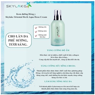 Kem dưỡng da Skylake Oriental Herb Cream 50ml