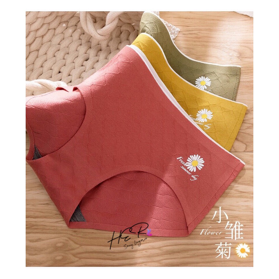 QUẦN LÓT CÚC HOẠ MI COTTON SỢI TRE HOẠT TÍNH KHÁNG KHUẨN CHỐNG VIÊM ÔM TRỌN NÂNG ĐỠ VÒNG 3 Q770 (Video & Ảnh thật) | BigBuy360 - bigbuy360.vn