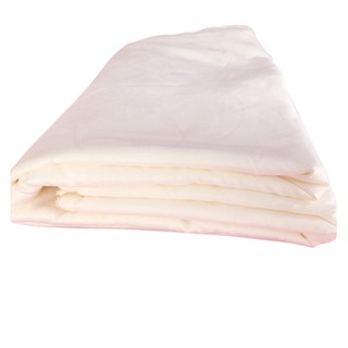 Ruột chăn tơ tằm thiên nhiên sleepy