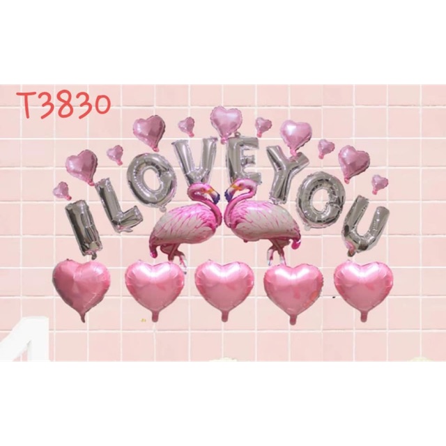 SET BÓNG TRANG TRÍ ĐÁM CỨOI HẠC HỒNG