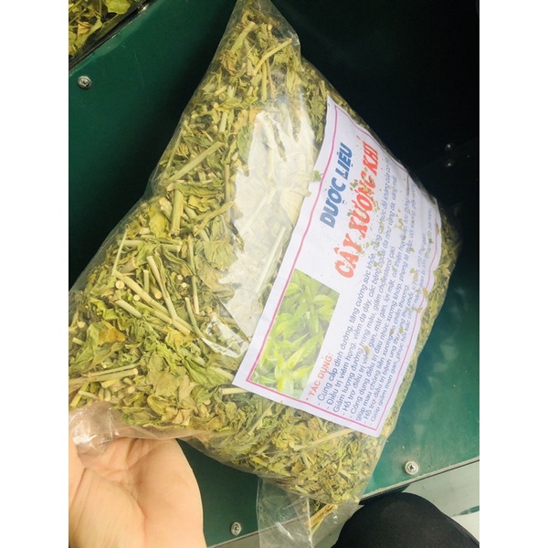 1kg Cây xương khỉ khô loại 1 xanh phòng ung thư- giải độc gan
