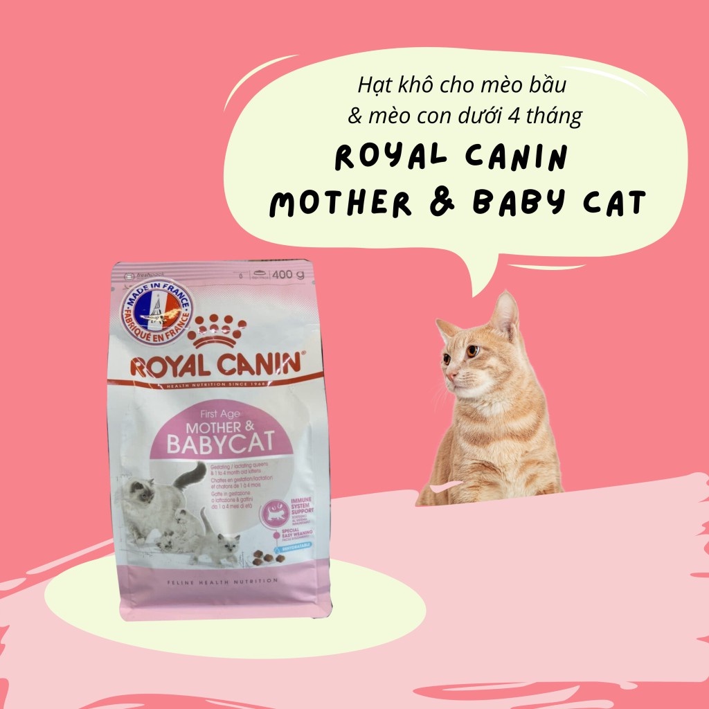Thức ăn cho mèo bầu và mèo con tập ăn ROYAL CANIN BABY MOTHER - 2KG