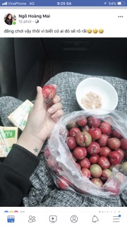 Mận hậu trái mùa