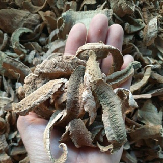 NÚC NÁC VỎ NGĂN NGỪA GÀU 100GR