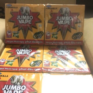 Nhang muỗi Jumbo Hương và nhang muỗi raid 100 khoanh giao ngẫu nhiên 2 loại