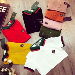 ÁO PHÔNG CỔ ĐỨC GUCCI