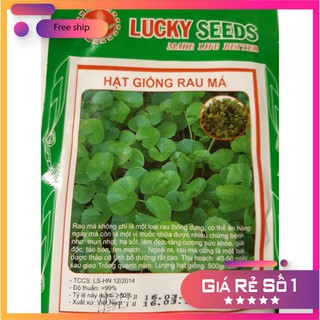 Hạt giống rau má Việt Nam tốt cho sức khỏe LUCKY.VN
