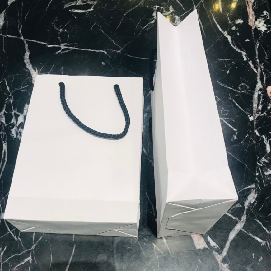 Túi giấy Kraft trơn size trung, túi đứng - Phụ kiện Halu