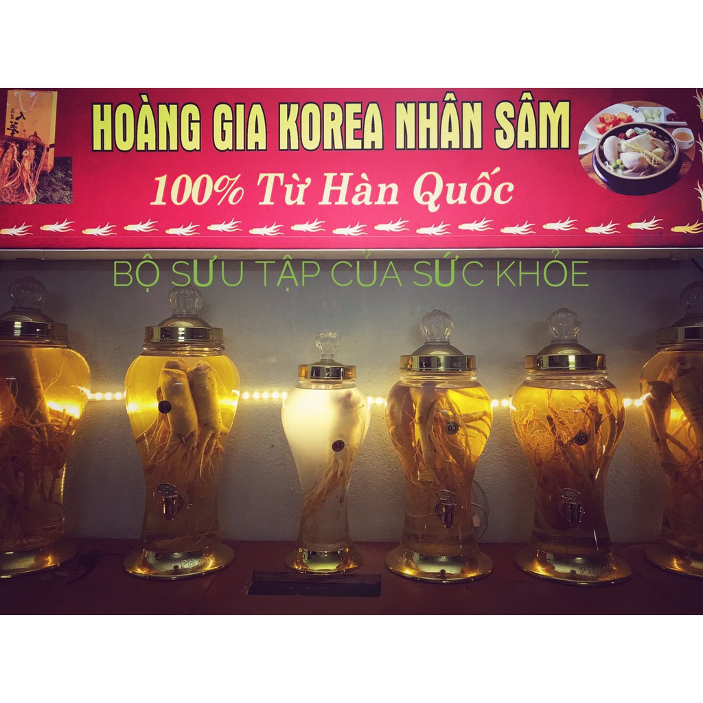 SÂM TƯƠI 1 CỦ GIÁ CHỈ 98k | BigBuy360 - bigbuy360.vn