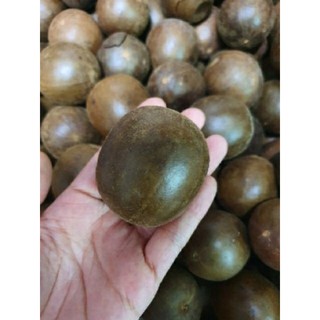 5 quả La hán quả nấu sâm