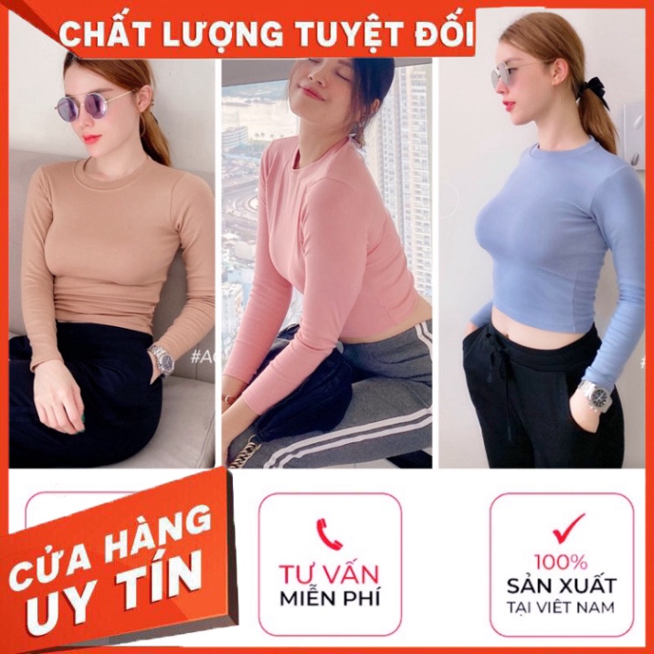 Áo croptop tay dài borip len tăm, co giãn hút mồ hôi tốt hàng Age2x - Hàng nhập khẩu