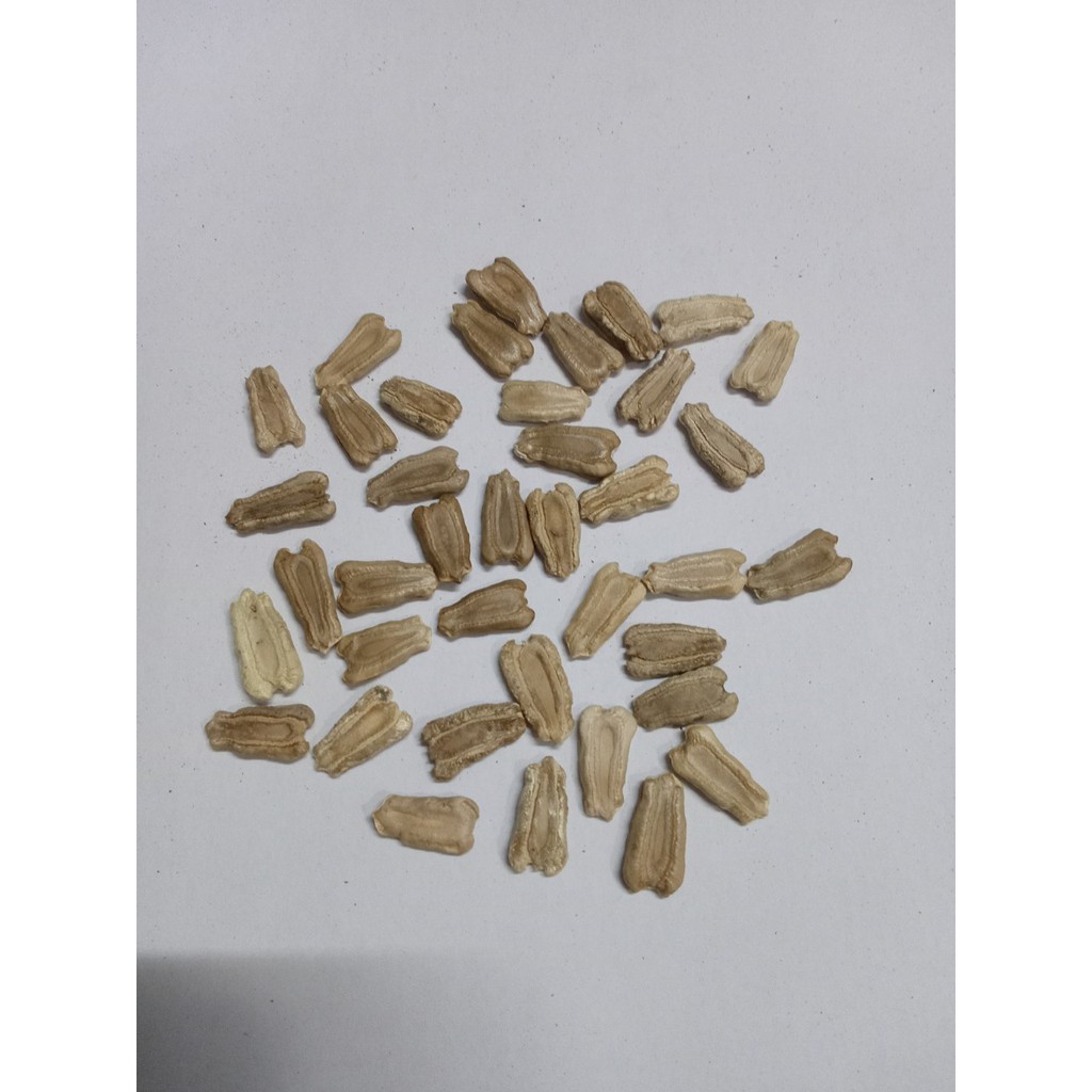 Hạt Giống Bầu Xị Cao Sản Siêu Trái