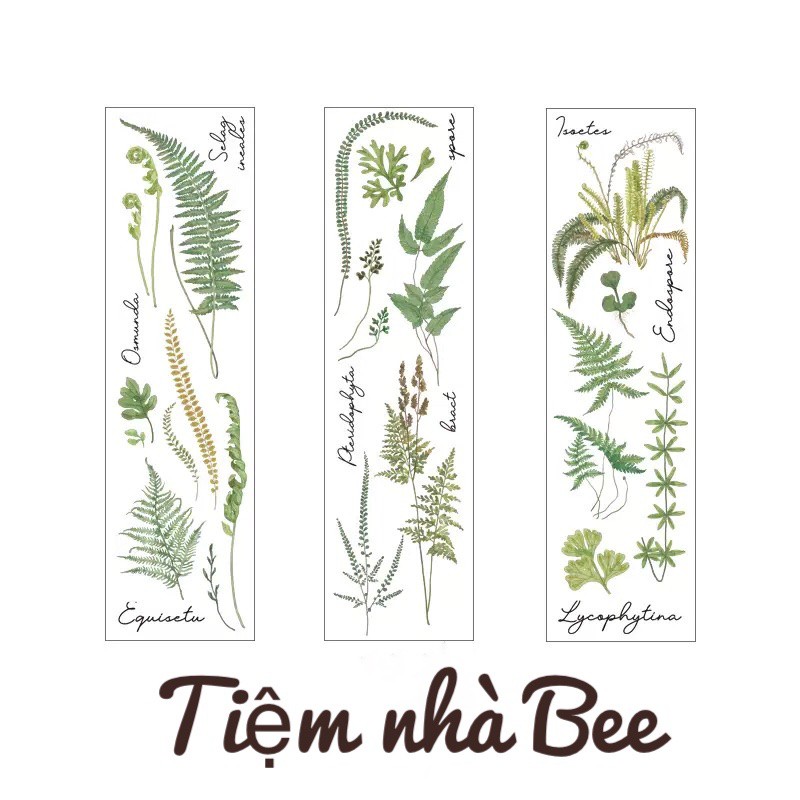 Sticker xinh xắn trang trí sổ nhật ký, bông hoa, cây cỏ Vintage │ 5 tấm 50x180mm │Xem thêm ở phần MÔ TẢ SẢN PHẨM