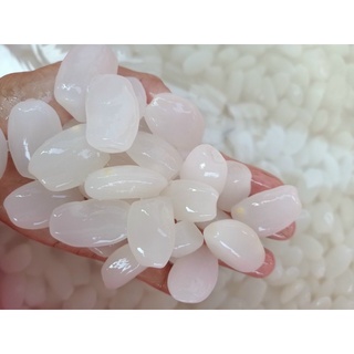 Hạt đác tươi Khánh Hoà