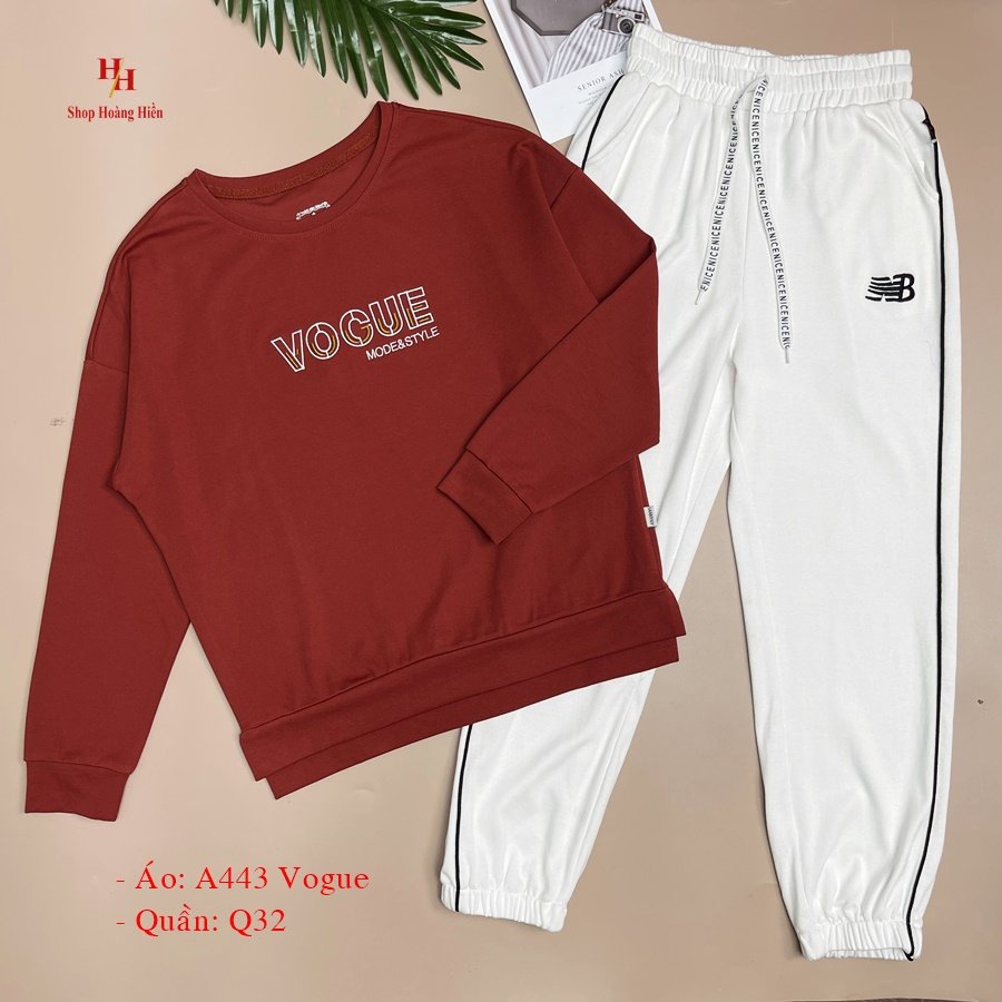 Áo sweater cotton nhật dài tay form rộng , phông dài tay Hifa Hoàng Hiền: A443