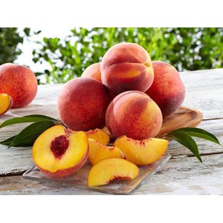 CÂY GIỐNG ĐÀO TIÊN NHIỆT ĐỚI NHẬT BẢN 30K