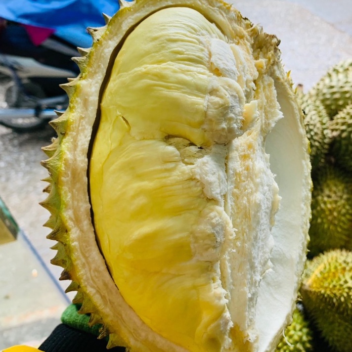 Hộp Cơm Sầu Riêng Thái, Sầu Riêng Ri6 Tách Múi Tươi, thơm ngon hết nấc, cơm dẻo, hạt lép