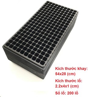 120 khay gieo hạt giâm cành 200 lỗ, hàng loại 1 chất lượng cao
