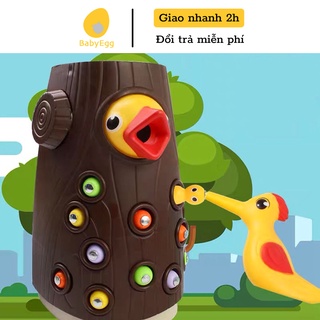 Đồ chơi GIÁO DỤC trẻ em thông minh Bộ chim gõ kiến bắt sâu cho bé trai bé gái 1 2 3 4 tuổi phát triển trí tuệ montessori