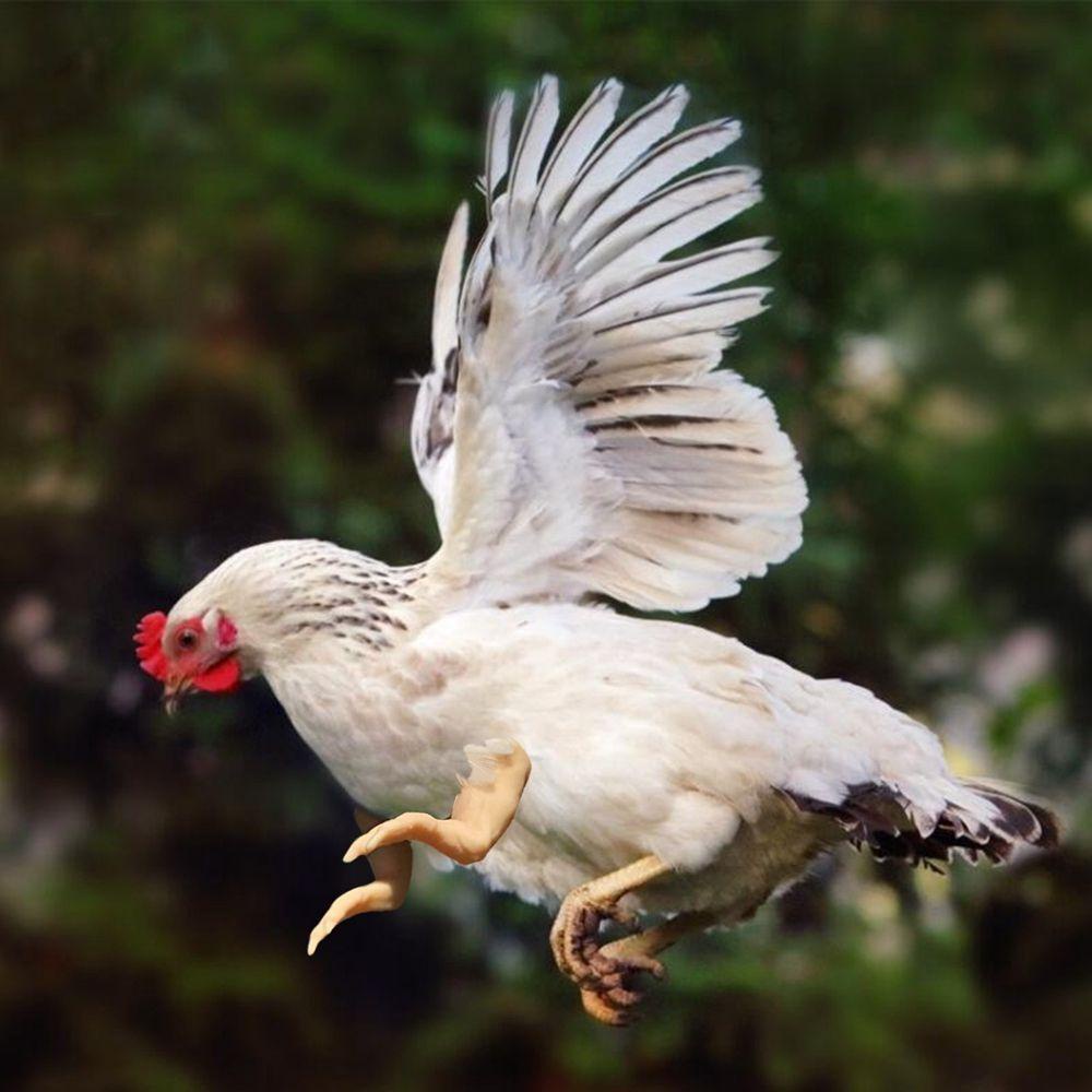 MIQUEL Cánh Tay Chim Đồ Chơi Bằng ABS Dùng Làm Đạo Cụ Chụp Ảnh