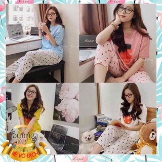 [Bunny] Đồ bộ mặc nhà với họa tiết trái dâu siêu xinh, vải cotton dày dặn co giãn thoải mái