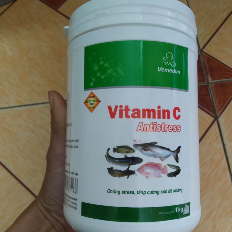 Vitamin C cho cá, dùng cho cá koi, cá vàng. Chống tress, tăng đề kháng