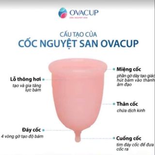 Cốc nguyệt san Ovacup