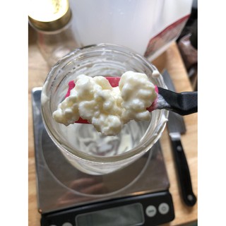 Nấm lên men sữa chua kefir