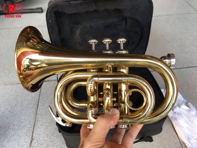 Kèn trumpet lùn Yamaha vàng