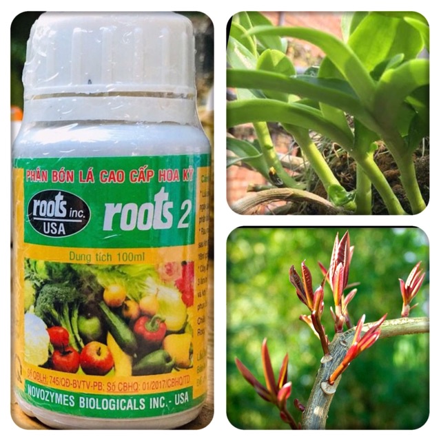 Phân bón lá kích thích ra rễ Roots 2, dạng nước, lọ 100ml, cho cây trồng - Hàng chính hãng
