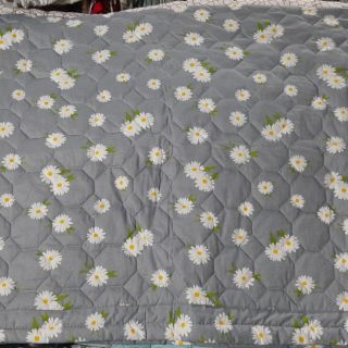 Mền cotton Thắng lợi(chat xem.mẫu)