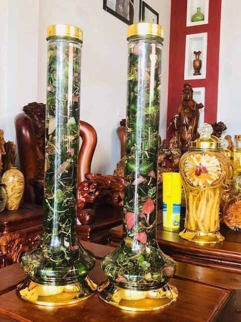 🍀🍃LAN KIM TUYẾN rừng  100gram🌿🌴