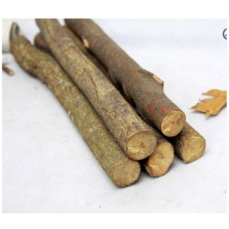 Cành Củi Khô Loại Đẹp Decor Trang Trí Nhà Cửa . Đường Kính 5-8cm , Dài 30 - 100cm