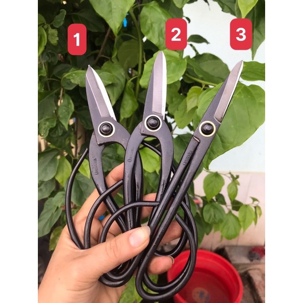 Kéo tỉa dăm thép đúc đen nguyên khối- dụng cụ tỉa tán lá