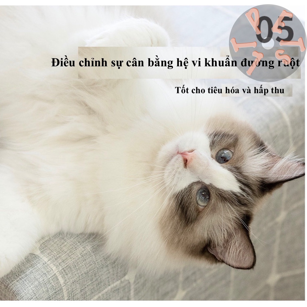 Bịch 2.5kg Hạt Thức Ăn Mèo Delicious nội địa TQ- Dành cho trại mèo, nuôi mèo số lượng lớn