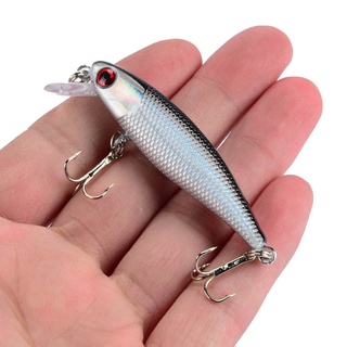 1 mồi giả câu cá nhựa cứng 6.5cm 4.3g