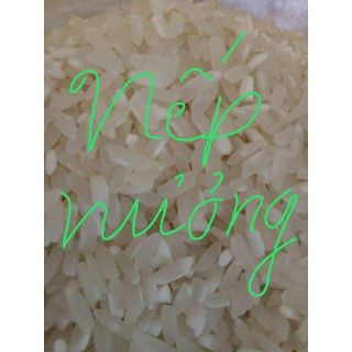 🌾1kg Gạo nếp nương Điện Biên 🌾