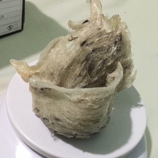 Tổ yến thô