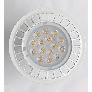 BÓNG Led PAR38 16W E27 ÁNH SÁNG VÀNG