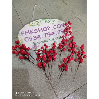 Bịch 10 nhánh đào đông chery đỏ trang trí điểm bình hoa
