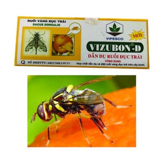 Bẫy trừ ruồi vàng