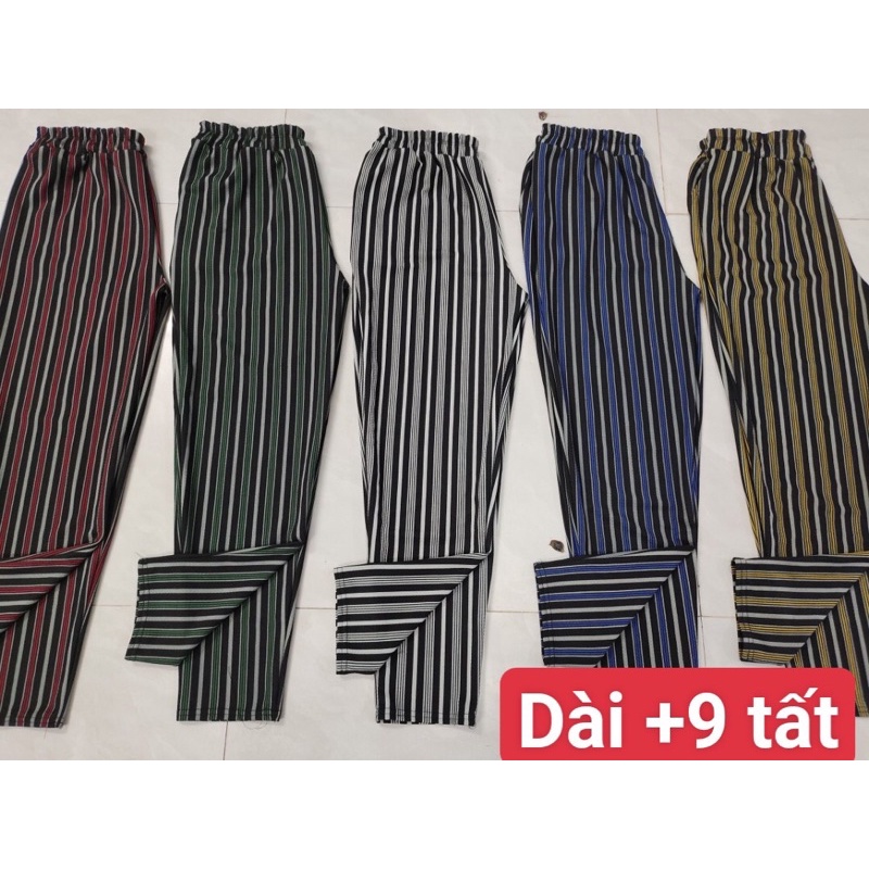 Sét 3 quần thun sọc quần caro co giãn 4 chiều từ 35 kí đến 70 kí MD12 Minh Đạt