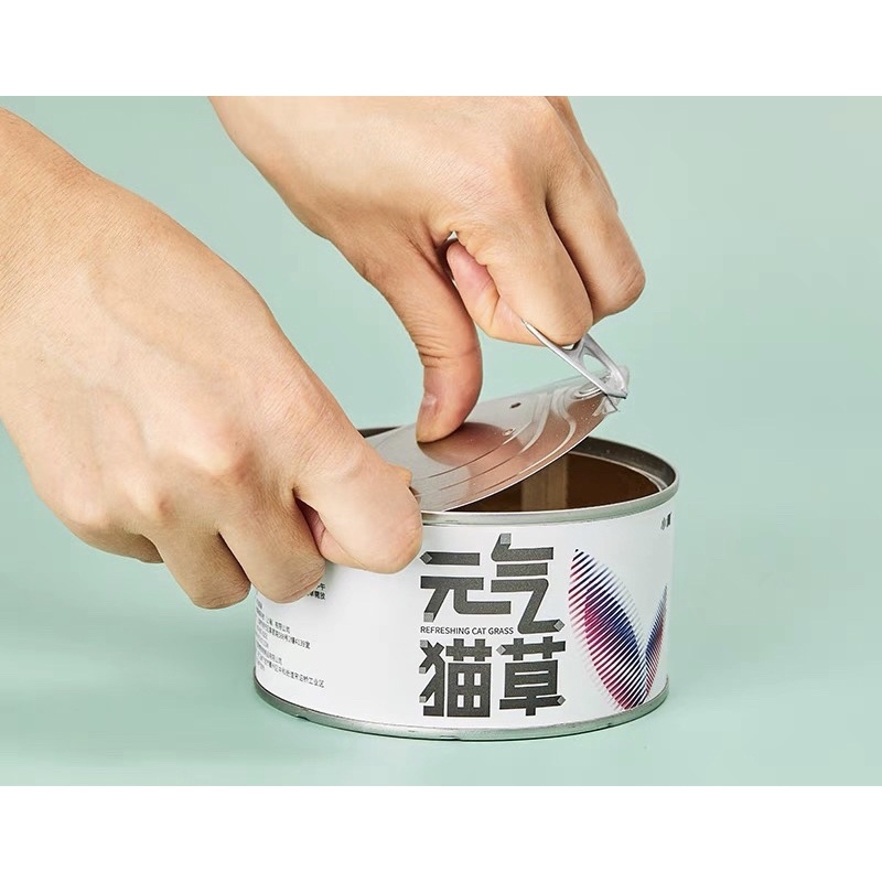 Cỏ Mèo Tươi Tự Trồng PETKIT - Catnip Nhà Trồng