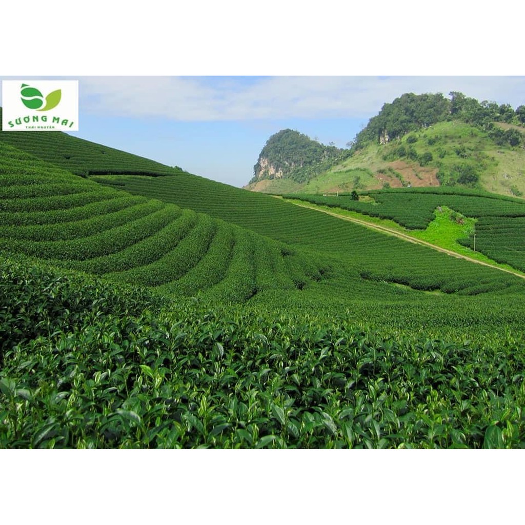 Trà Nõn Thuần Chủng Gói 200g | BigBuy360 - bigbuy360.vn