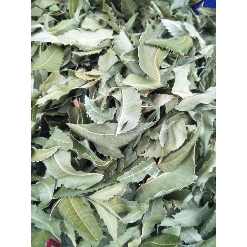 500GR Bột lá neem ấn độ sấy lạnh đắp mặt trắng da nguyên chất HandMade