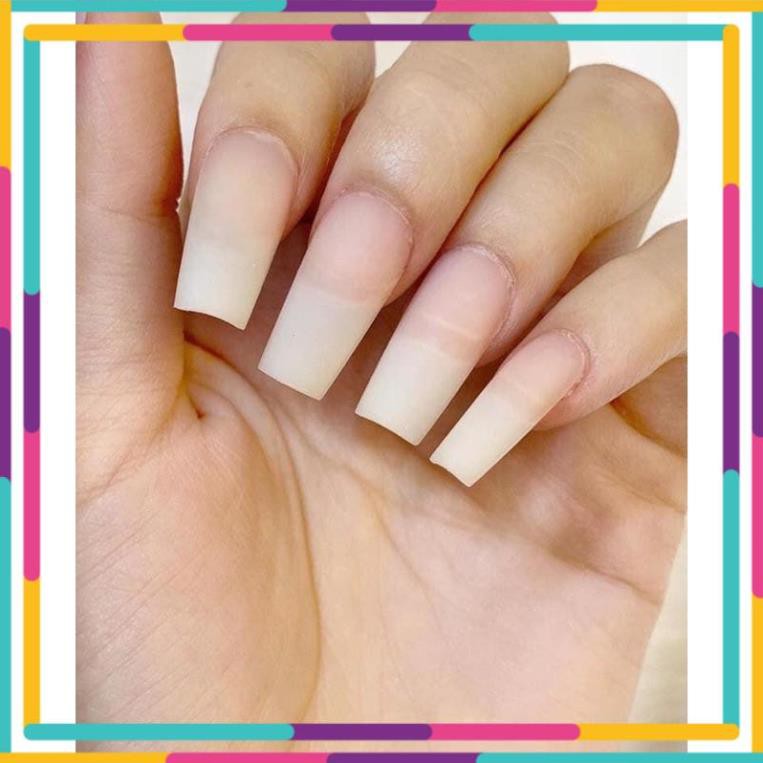 móng up HSM nhám sẵn phom vuông nail giá sỉ