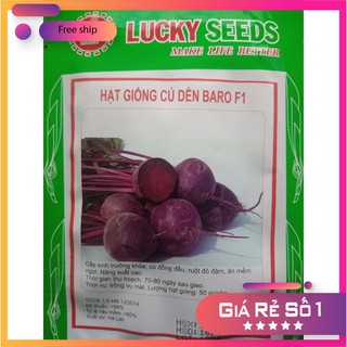 HẠT GIỐNG CỦ DỀN ĐỎ LUCKY.VN
