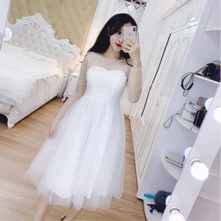 Váy dự tiệc, váy công chúa tay dài