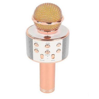 Micro Hát Karaoke Bluetooth WS-858